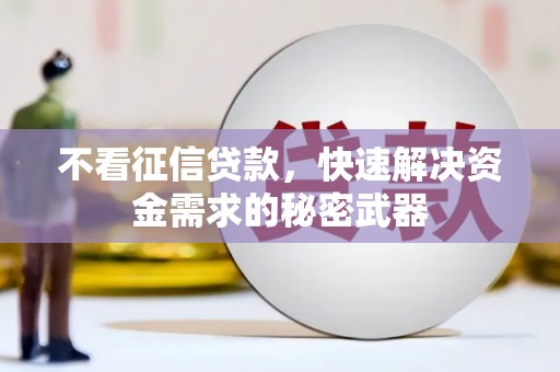 稻城不看征信贷款，快速解决资金需求的秘密武器