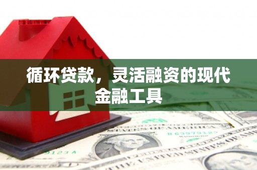 稻城循环贷款，灵活融资的现代金融工具