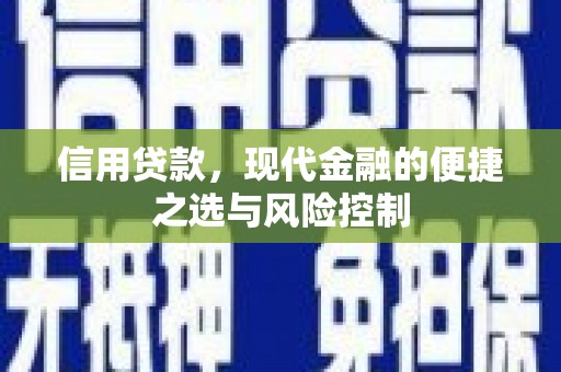 稻城信用贷款，现代金融的便捷之选与风险控制
