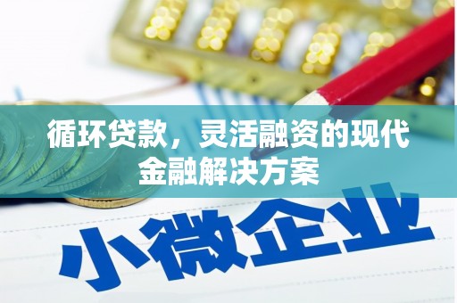稻城循环贷款，灵活融资的现代金融解决方案