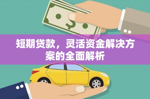 稻城短期贷款，灵活资金解决方案的全面解析