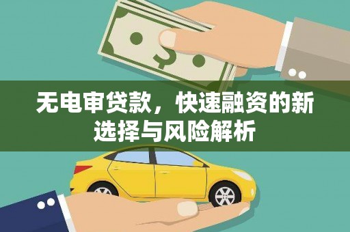 稻城无电审贷款，快速融资的新选择与风险解析