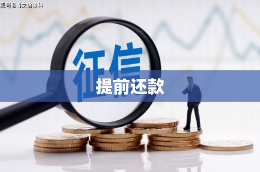 稻城提前还款