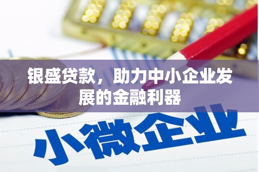 稻城银盛贷款，助力中小企业发展的金融利器