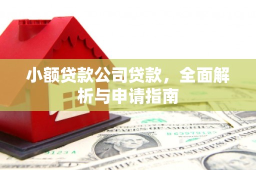 稻城小额贷款公司贷款，全面解析与申请指南