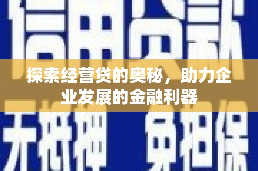 稻城探索经营贷的奥秘，助力企业发展的金融利器