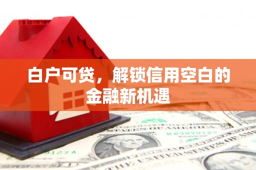 稻城白户可贷，解锁信用空白的金融新机遇