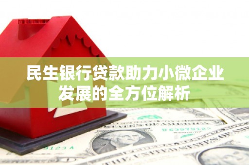 稻城民生银行贷款助力小微企业发展的全方位解析