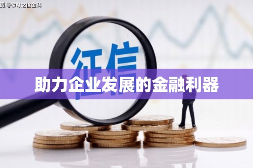 稻城助力企业发展的金融利器