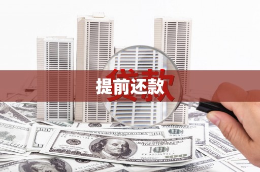 稻城提前还款
