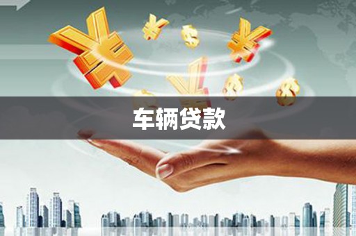 稻城车辆贷款