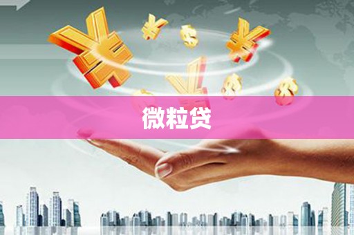 稻城微粒贷