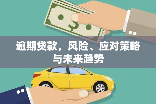 稻城逾期贷款，风险、应对策略与未来趋势