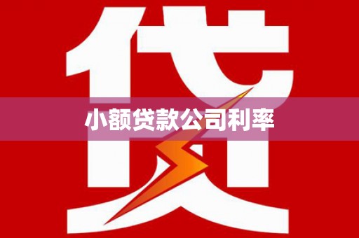稻城小额贷款公司利率