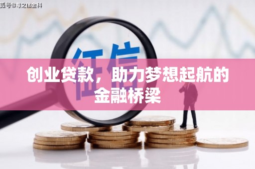 稻城创业贷款，助力梦想起航的金融桥梁