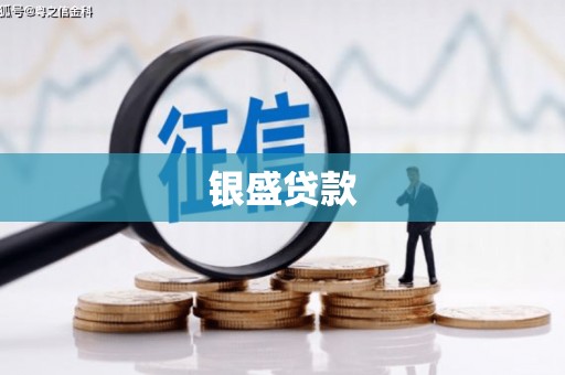稻城银盛贷款