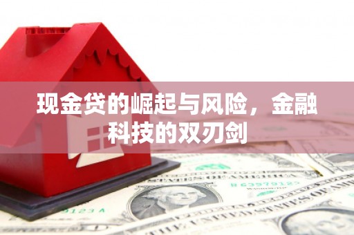 稻城现金贷的崛起与风险，金融科技的双刃剑