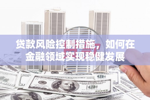 稻城贷款风险控制措施，如何在金融领域实现稳健发展