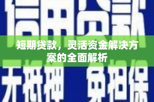 稻城短期贷款，灵活资金解决方案的全面解析
