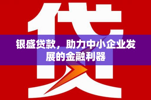 稻城银盛贷款，助力中小企业发展的金融利器