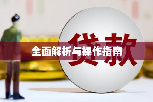 稻城全面解析与操作指南