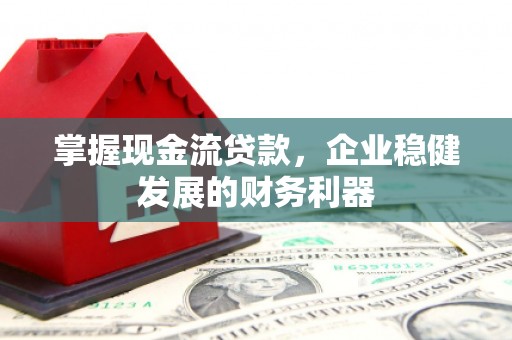 稻城掌握现金流贷款，企业稳健发展的财务利器