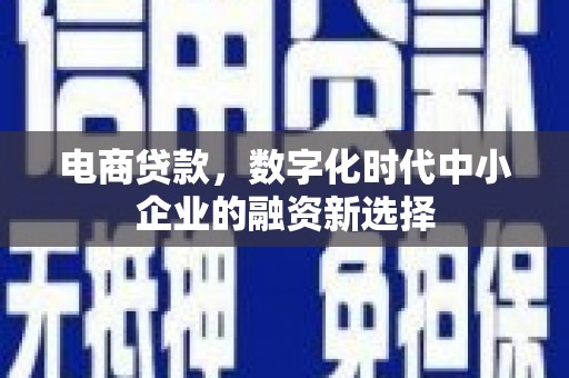 稻城电商贷款，数字化时代中小企业的融资新选择