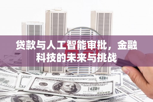 稻城贷款与人工智能审批，金融科技的未来与挑战