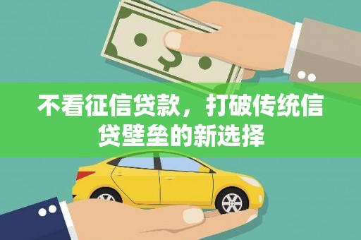 稻城不看征信贷款，打破传统信贷壁垒的新选择