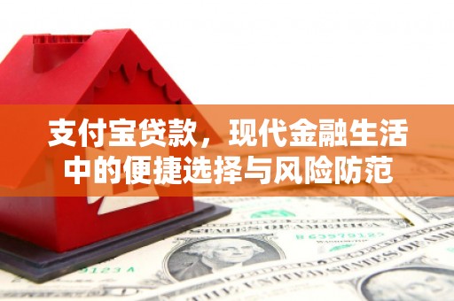 稻城支付宝贷款，现代金融生活中的便捷选择与风险防范