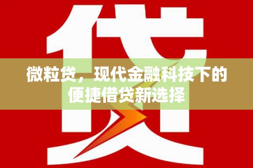 稻城微粒贷，现代金融科技下的便捷借贷新选择