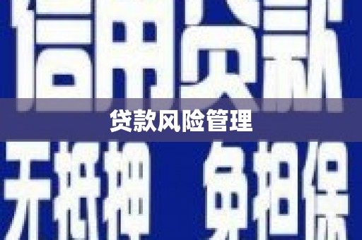 稻城贷款风险管理