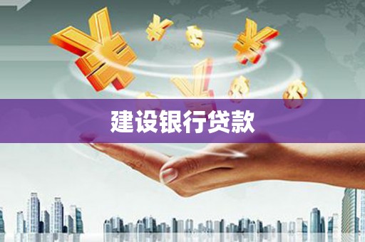 稻城建设银行贷款