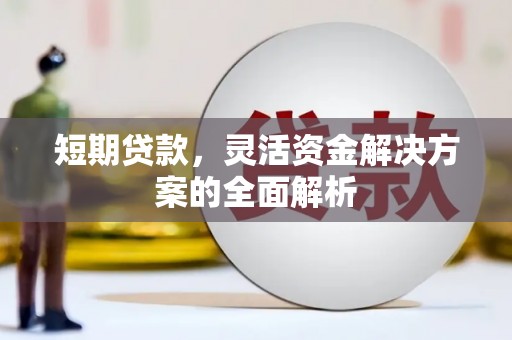 稻城短期贷款，灵活资金解决方案的全面解析