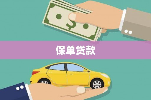 稻城保单贷款