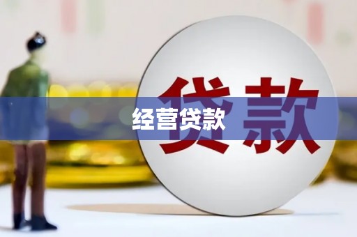 稻城经营贷款