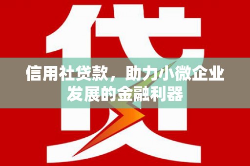 稻城信用社贷款，助力小微企业发展的金融利器