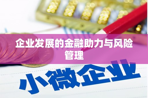稻城企业发展的金融助力与风险管理