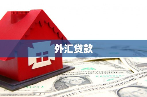 稻城外汇贷款