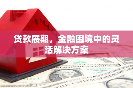 稻城贷款展期，金融困境中的灵活解决方案