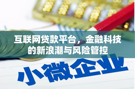 稻城互联网贷款平台，金融科技的新浪潮与风险管控