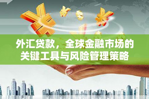 稻城外汇贷款，全球金融市场的关键工具与风险管理策略