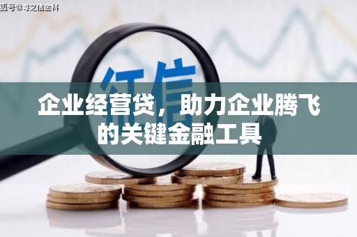 稻城企业经营贷，助力企业腾飞的关键金融工具