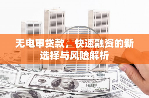稻城无电审贷款，快速融资的新选择与风险解析