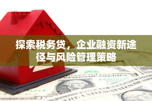 稻城探索税务贷，企业融资新途径与风险管理策略