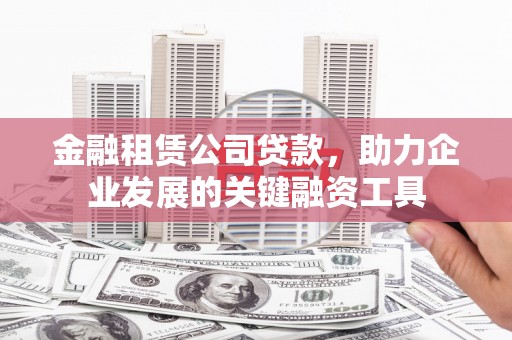 稻城金融租赁公司贷款，助力企业发展的关键融资工具