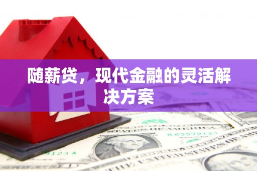 稻城随薪贷，现代金融的灵活解决方案