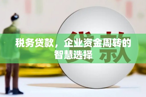 稻城税务贷款，企业资金周转的智慧选择