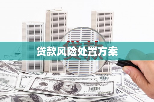 稻城贷款风险处置方案