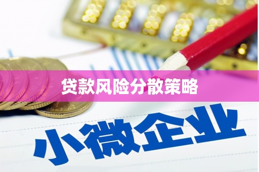 稻城贷款风险分散策略
